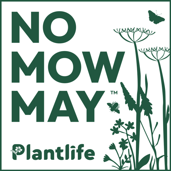 No Mow May